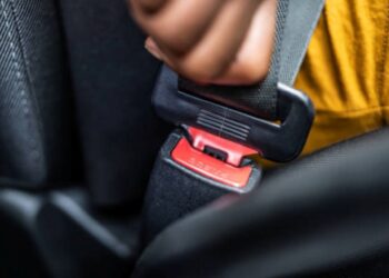Seatbelts busses jpj