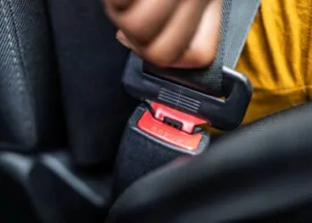 Seatbelts busses jpj