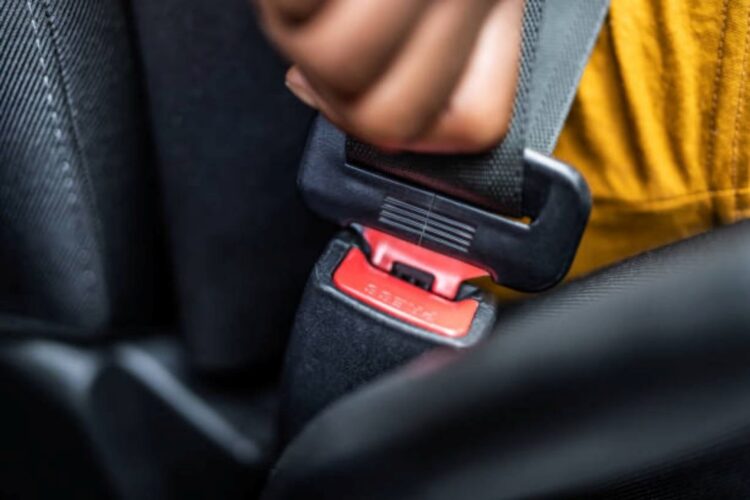 Seatbelts busses jpj