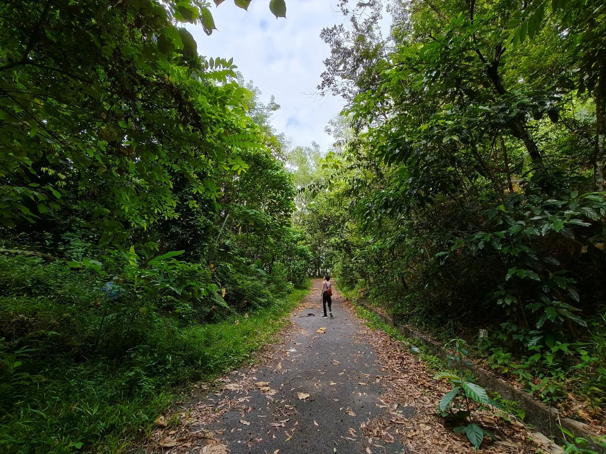 realme GT 7 camera sample