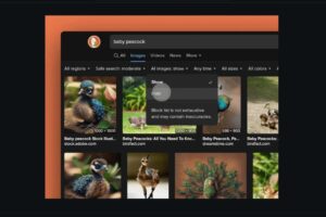 DuckDuckGo Lets You Hide AI Generated Images From Search 1 DuckDuckGo AI filter