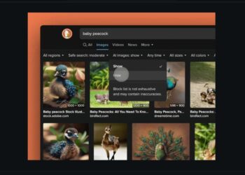 DuckDuckGo AI filter