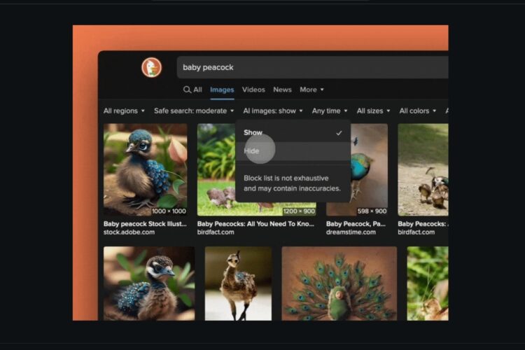 DuckDuckGo AI filter