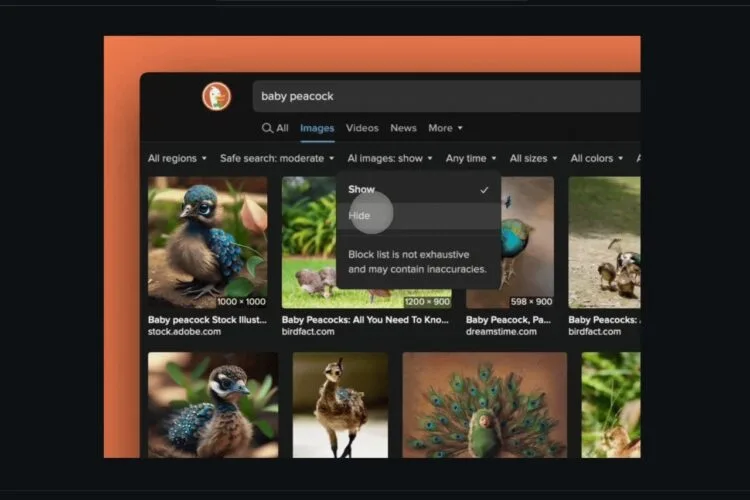 DuckDuckGo AI filter