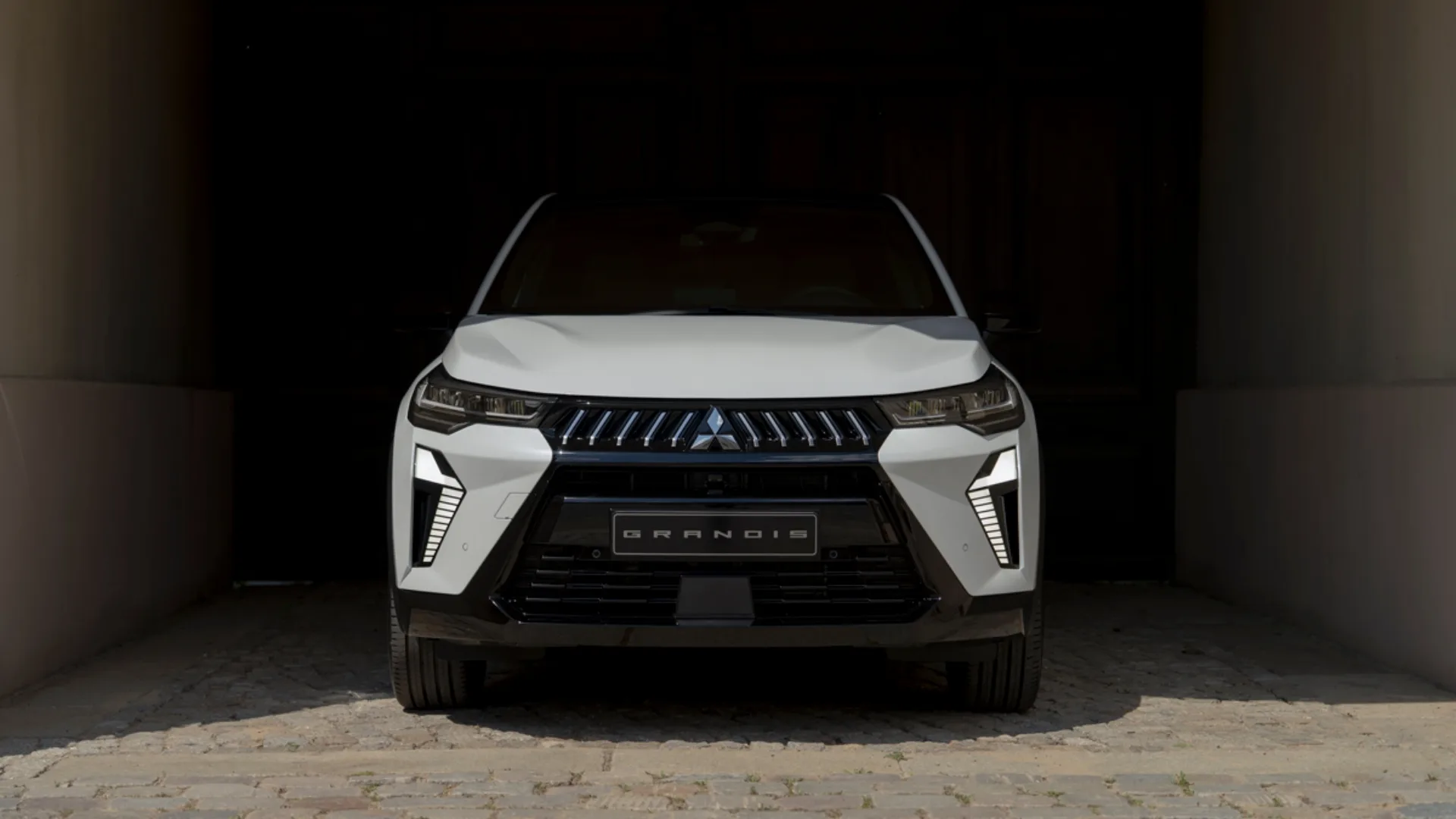 Front fascia of the Grandis