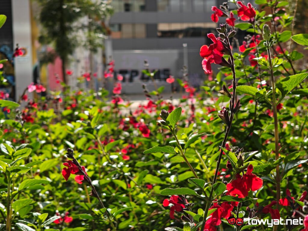 OPPO Find N5 review_photos