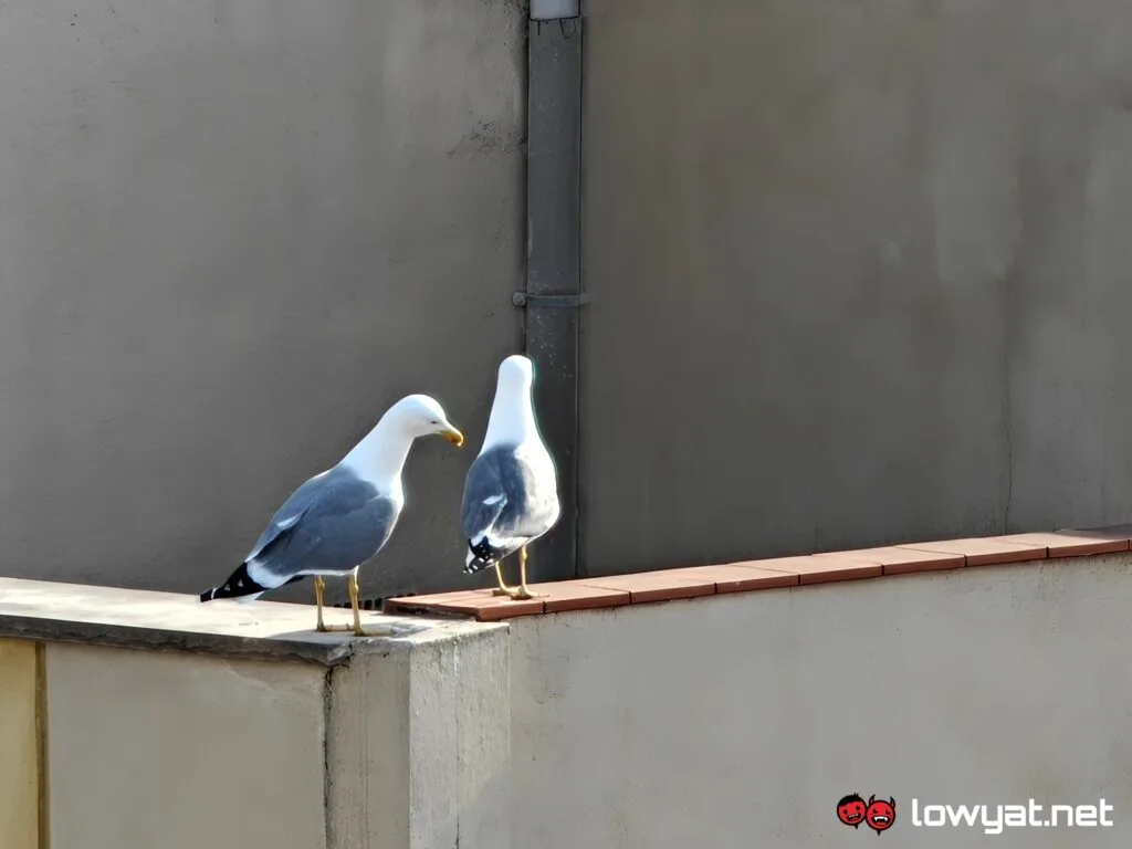 OPPO Find N5 review_photos