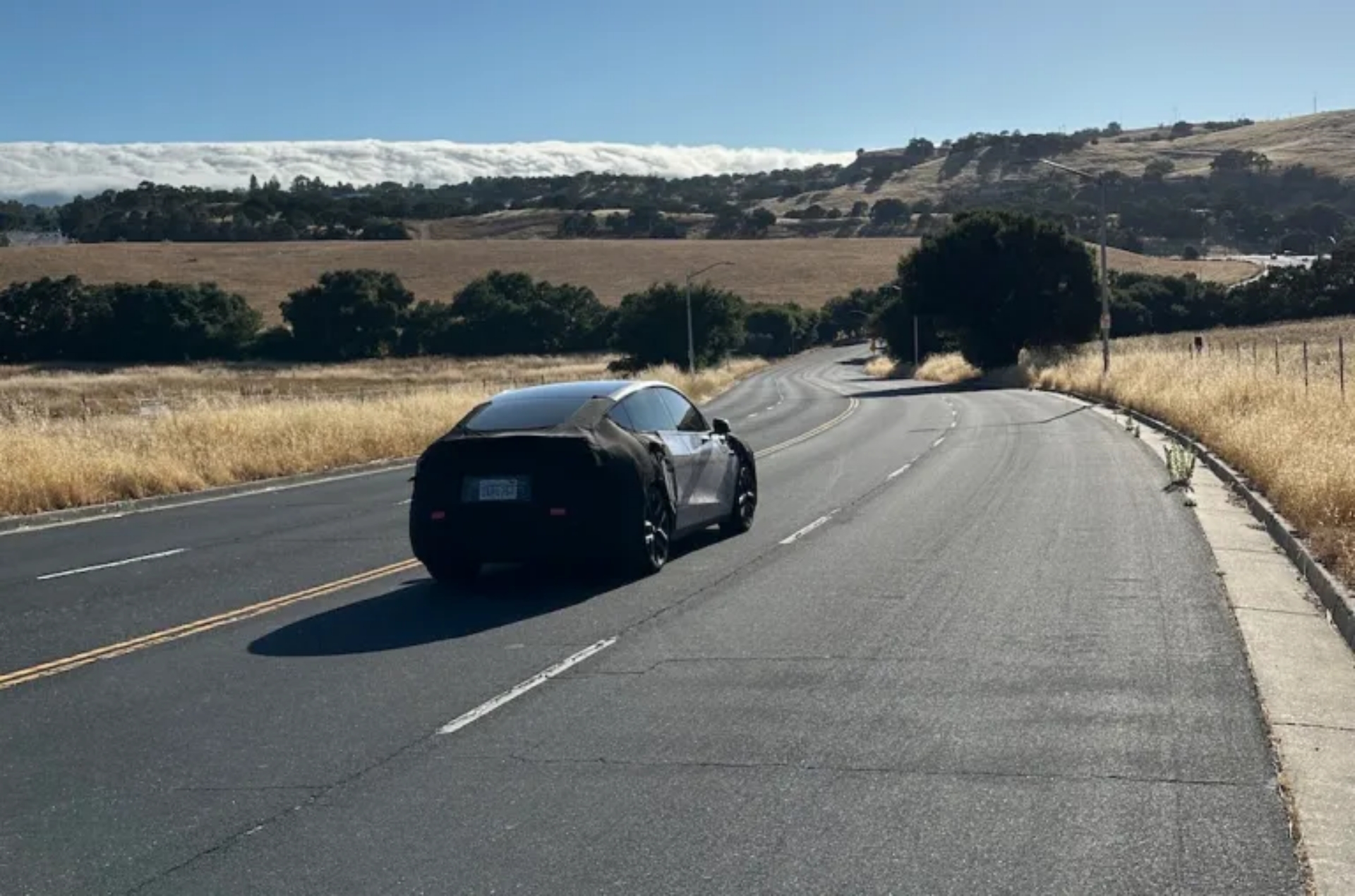 Tesla Model Y camouflaged