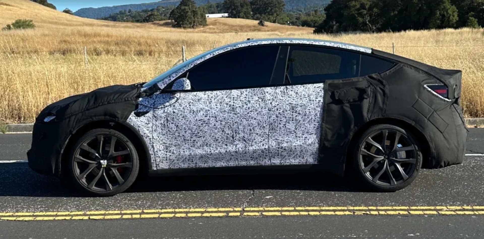 Tesla Model Y camouflaged