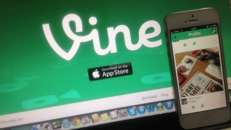 Vine
