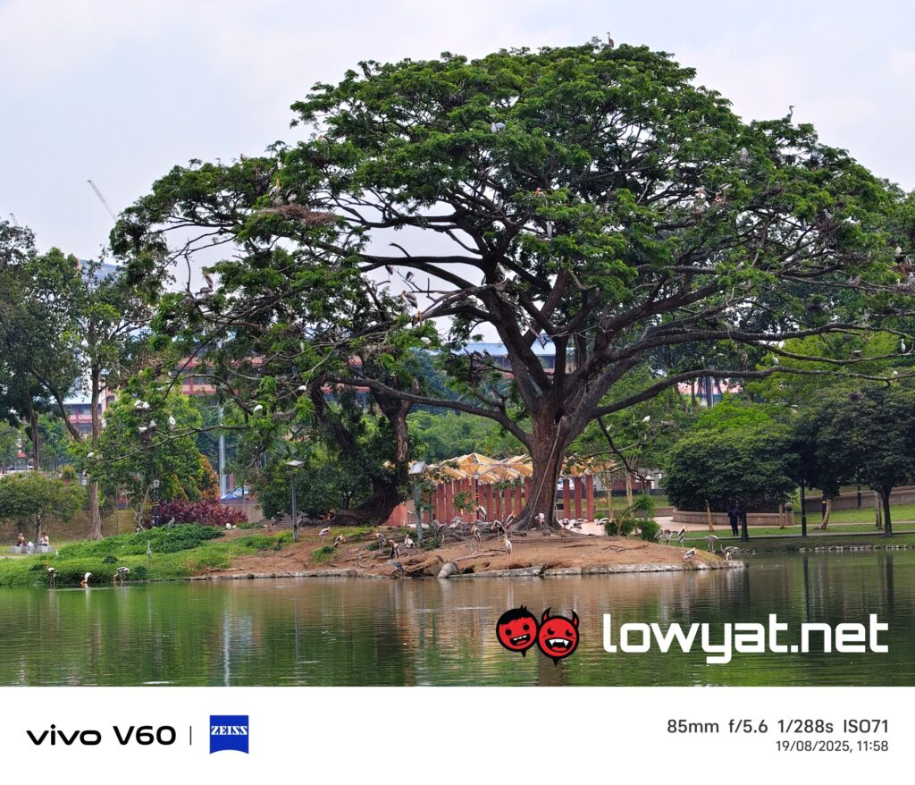 vivo V60 The New Standard Of Professional Portrait Photography 