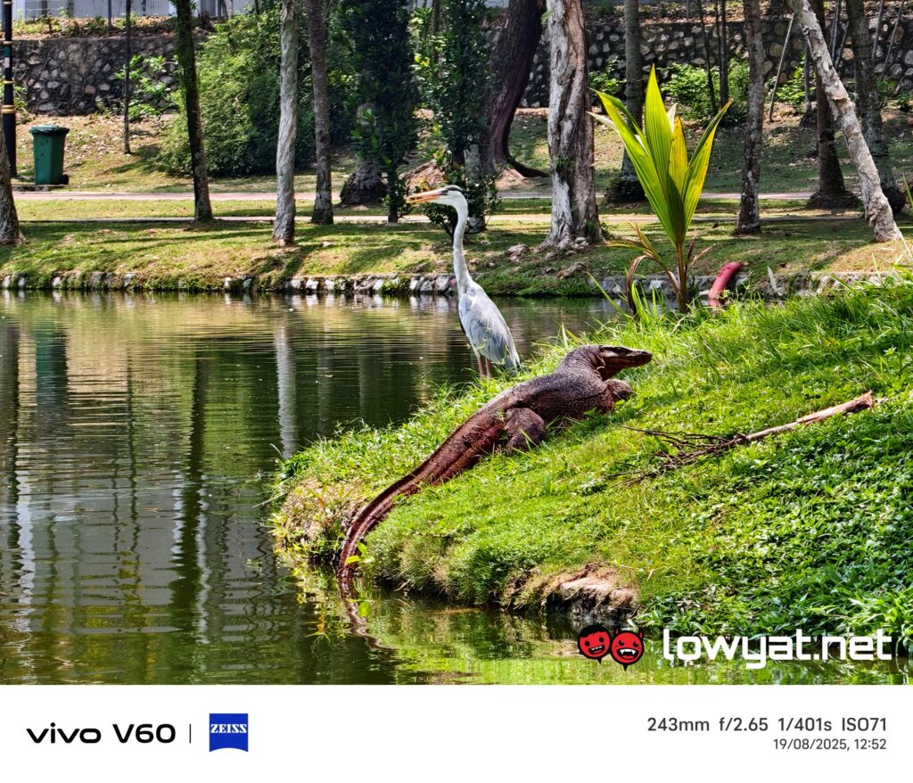 vivo V60 The New Standard Of Professional Portrait Photography 