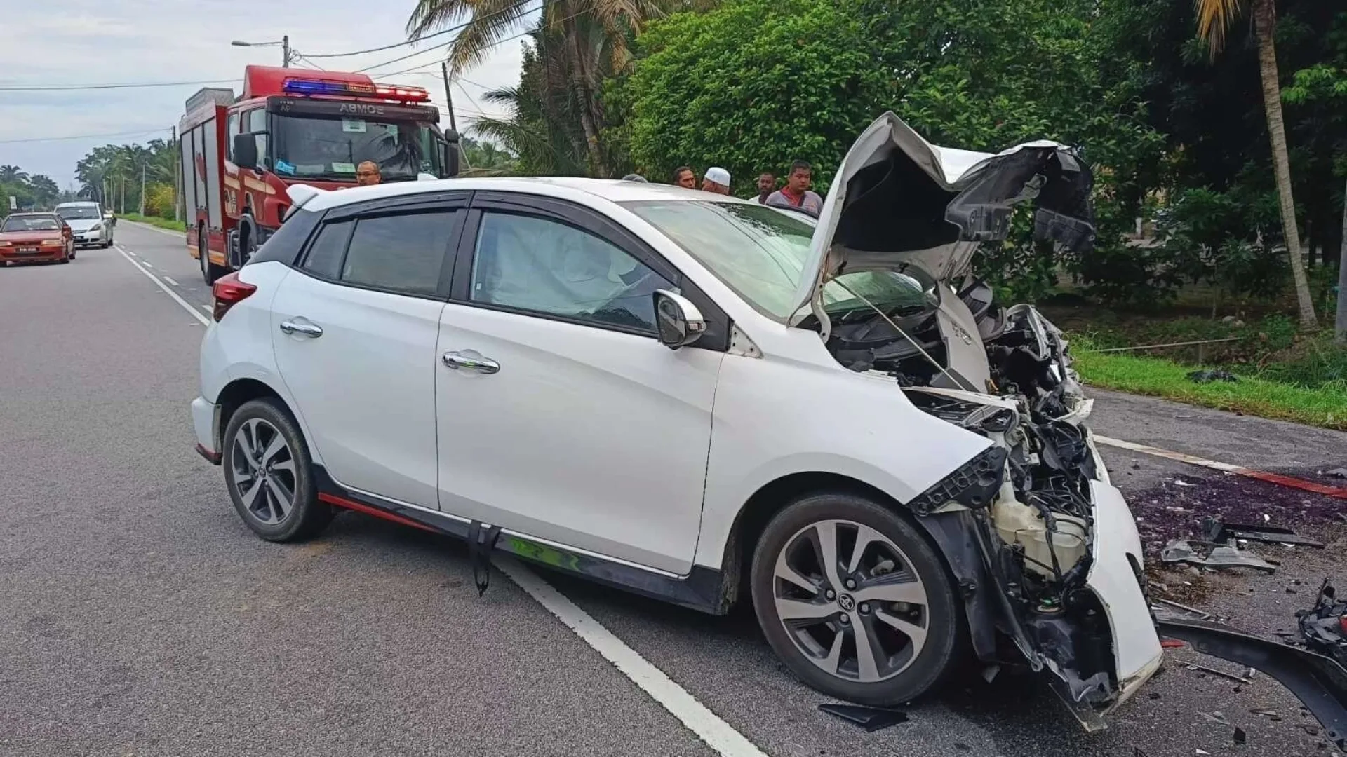 Insurance Claims