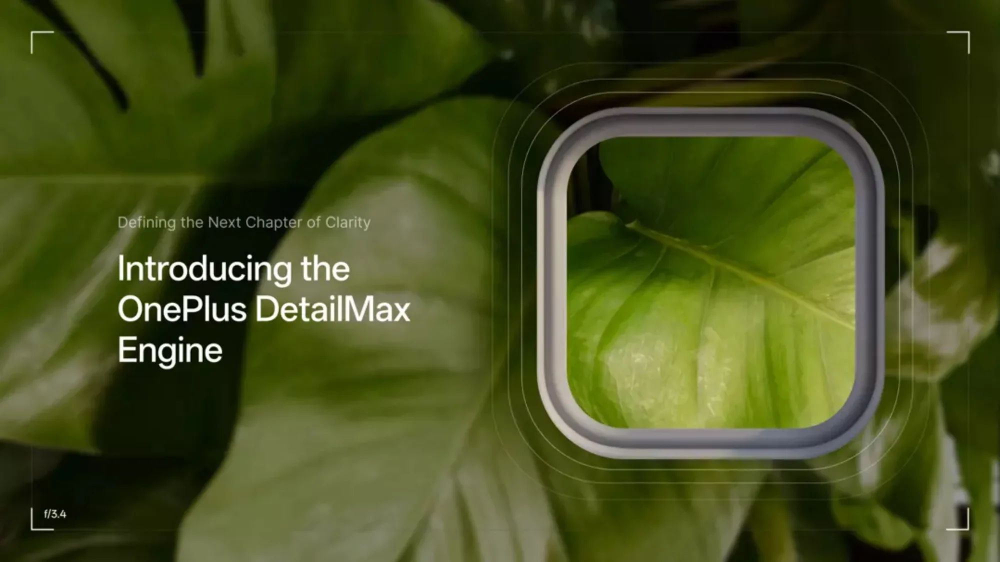 oneplus hasselblad partnership detailmax engine