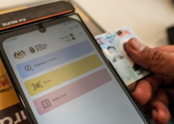 BUDI 95 ID Checks