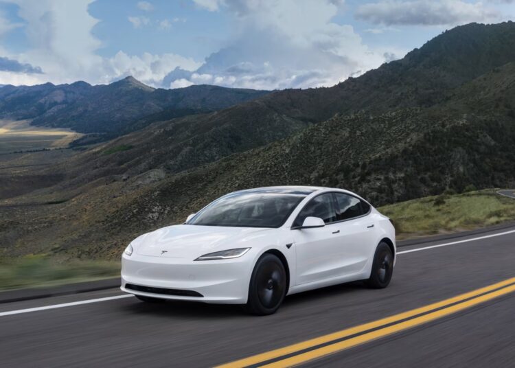 Model 3 Standard