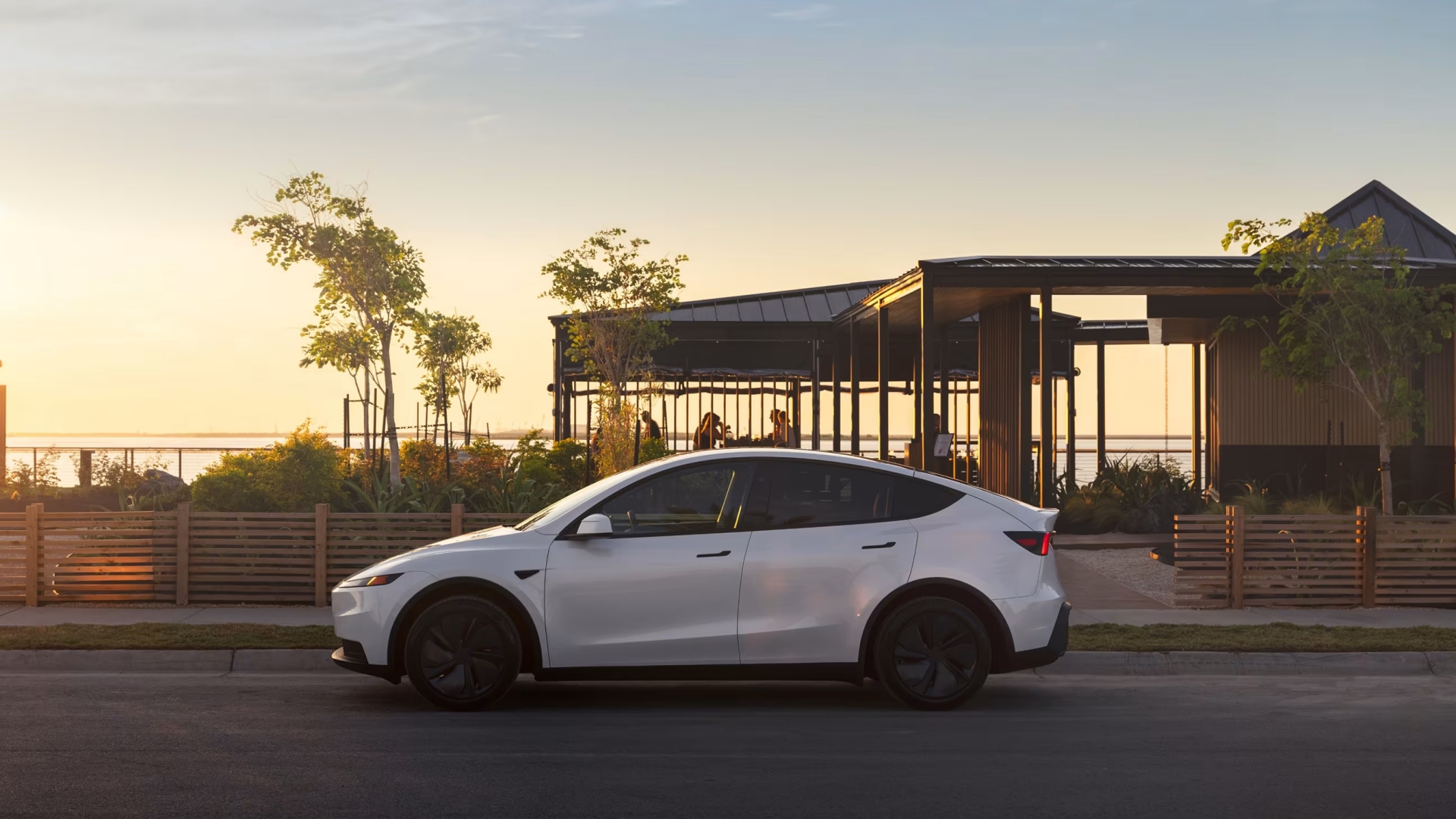 Model Y Standard