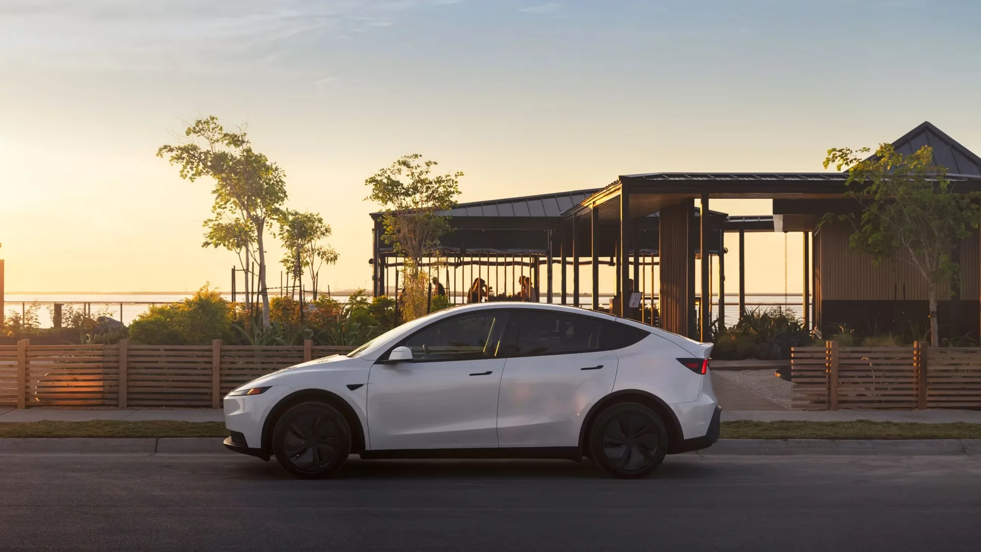 Model Y Standard