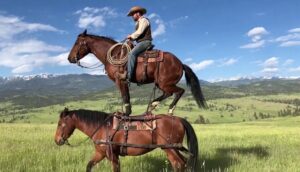 OpenAI Sora 2 AI Generated Video