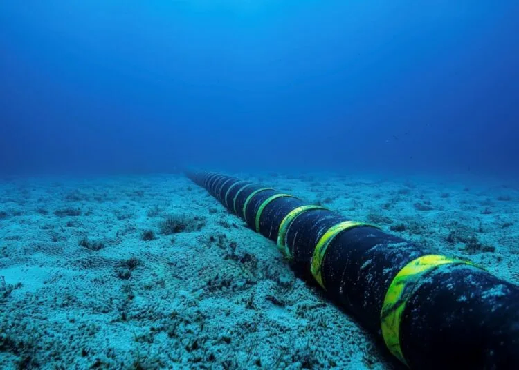 tm salam Submarine cable