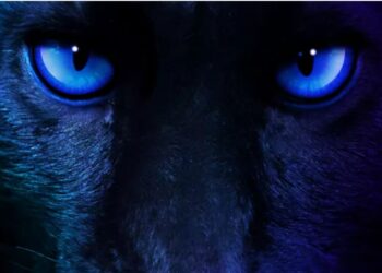 Intel-Panther-Lake-Core-Ultra-300-Series-CES-2026-confirmation-1