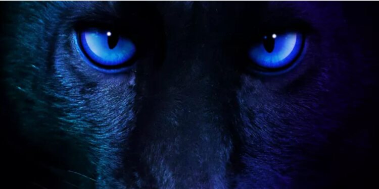 Intel-Panther-Lake-Core-Ultra-300-Series-CES-2026-confirmation-1