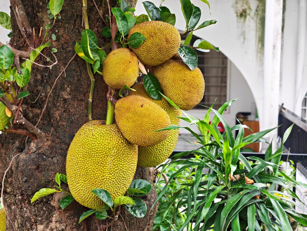 HONOR Magic8 Pro image sample