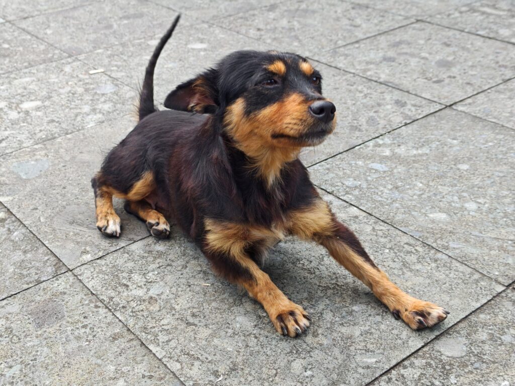 POCO F8 Pro sample image