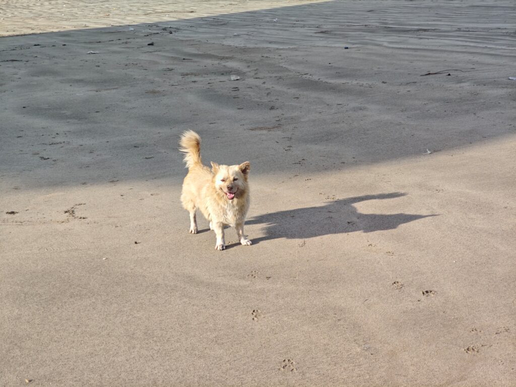 POCO F8 Pro sample image