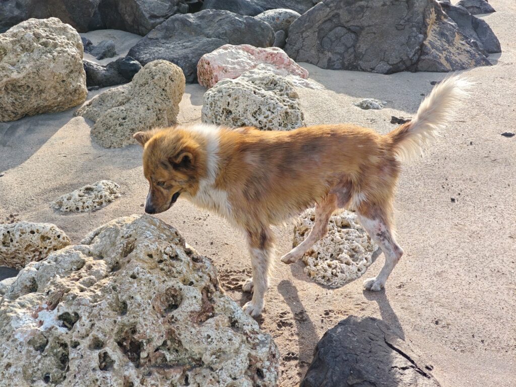 POCO F8 Pro sample image