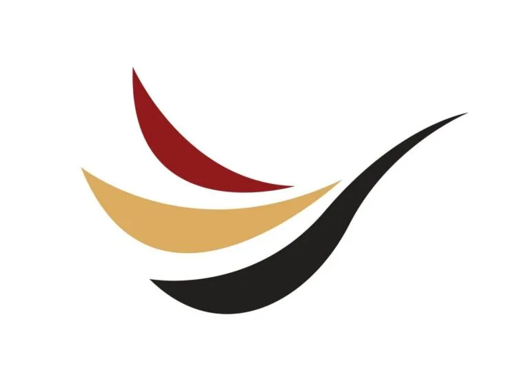 AirBorneo logo
