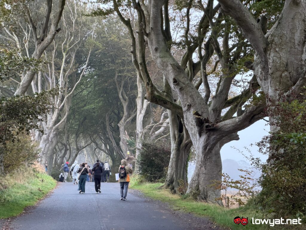 iphone 17 pro review camera