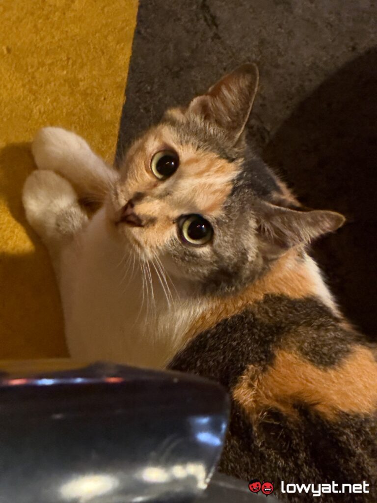 iphone 17 pro review camera