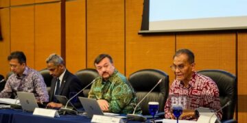 govt to introduce basic mhit plan 2027