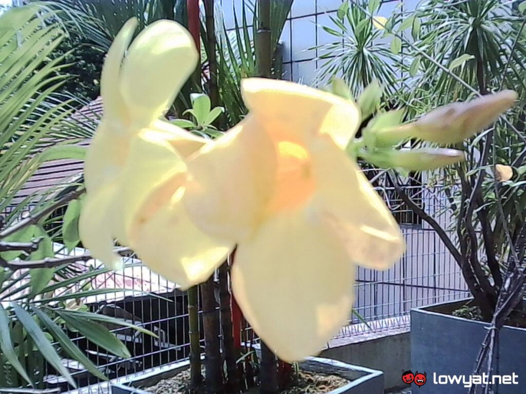 kodak charmera feature