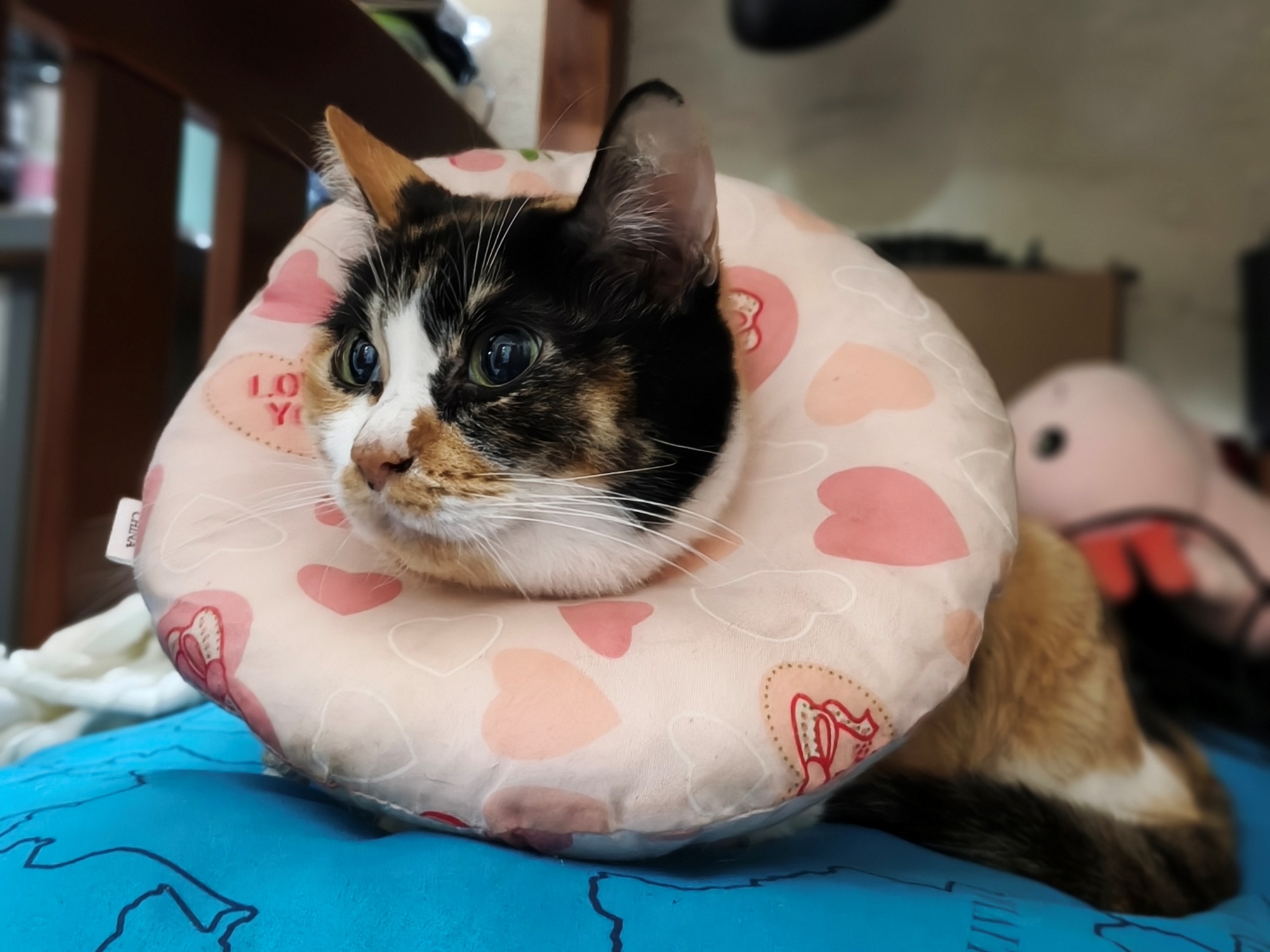 OPPO Reno15 Pro sample image