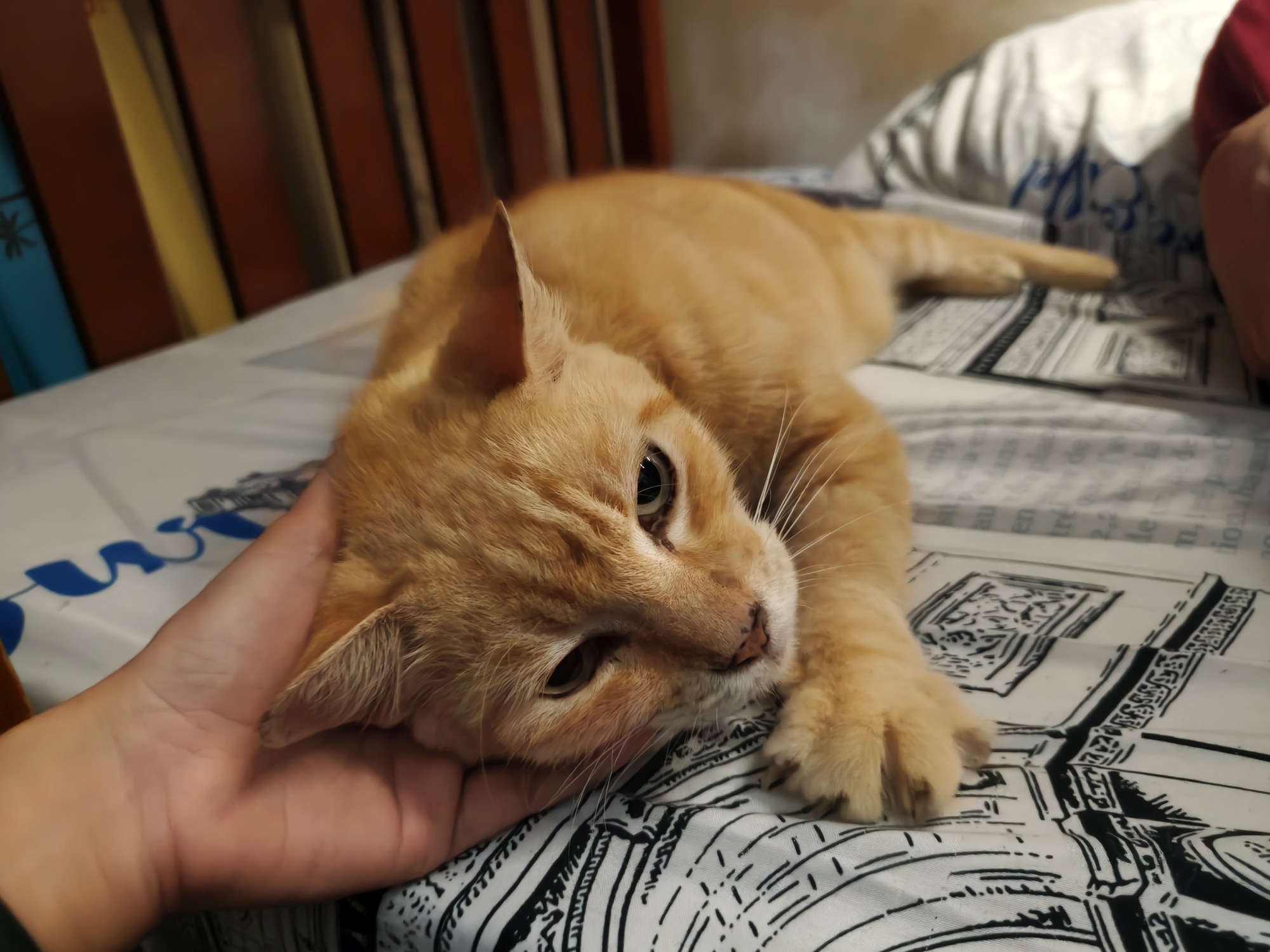 OPPO Reno15 Pro sample image