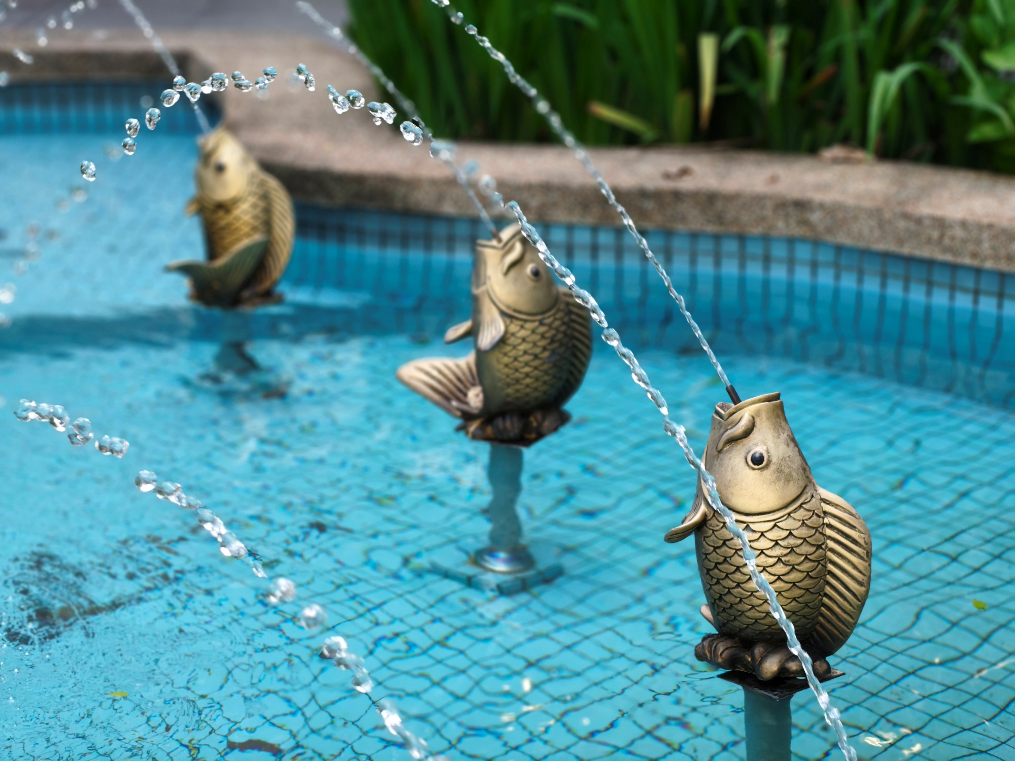 OPPO Reno15 Pro sample image