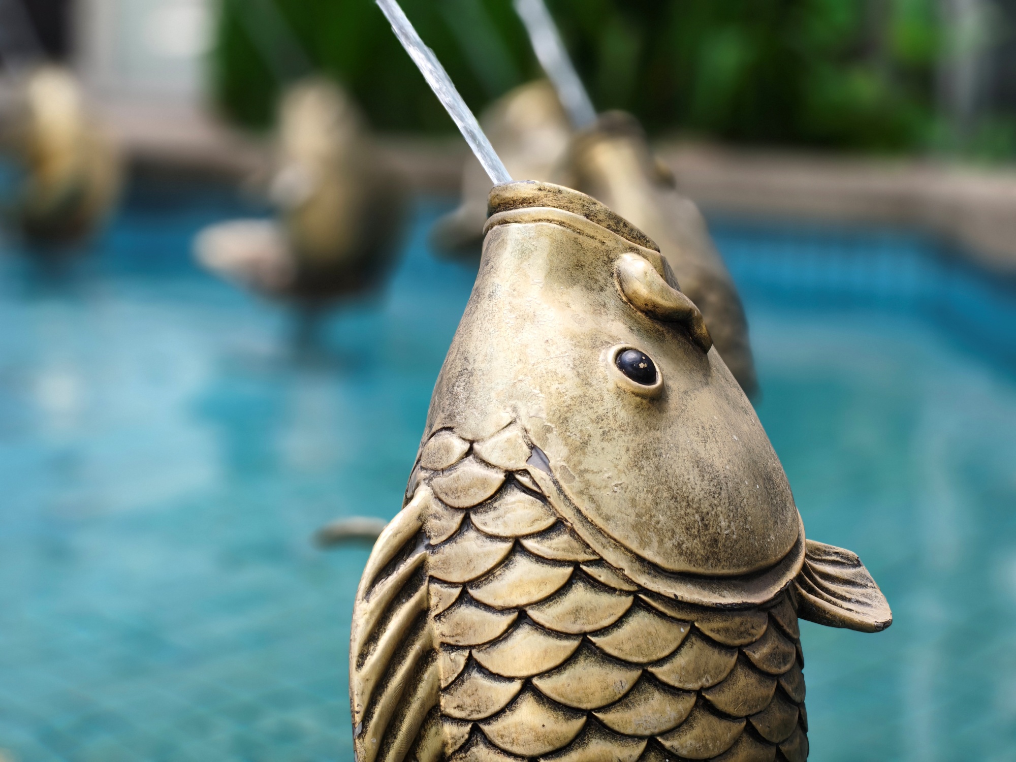 OPPO Reno15 Pro sample image