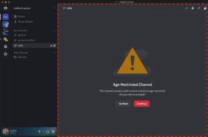 Discord age verification