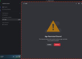 Discord age verification