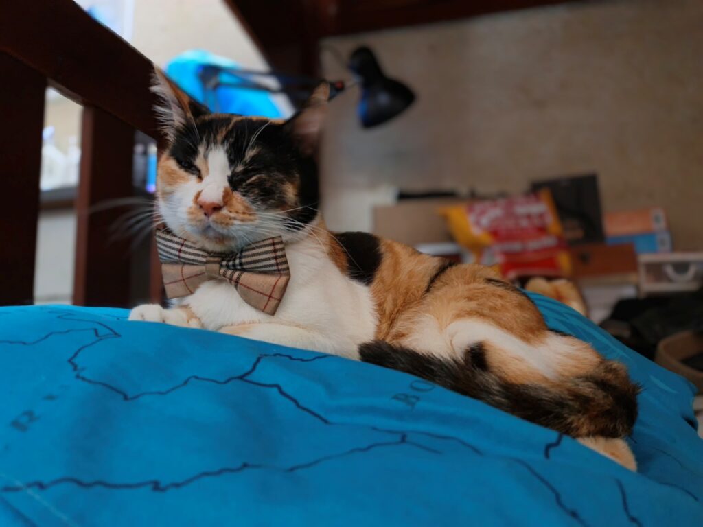 Infinix Note Edge image sample