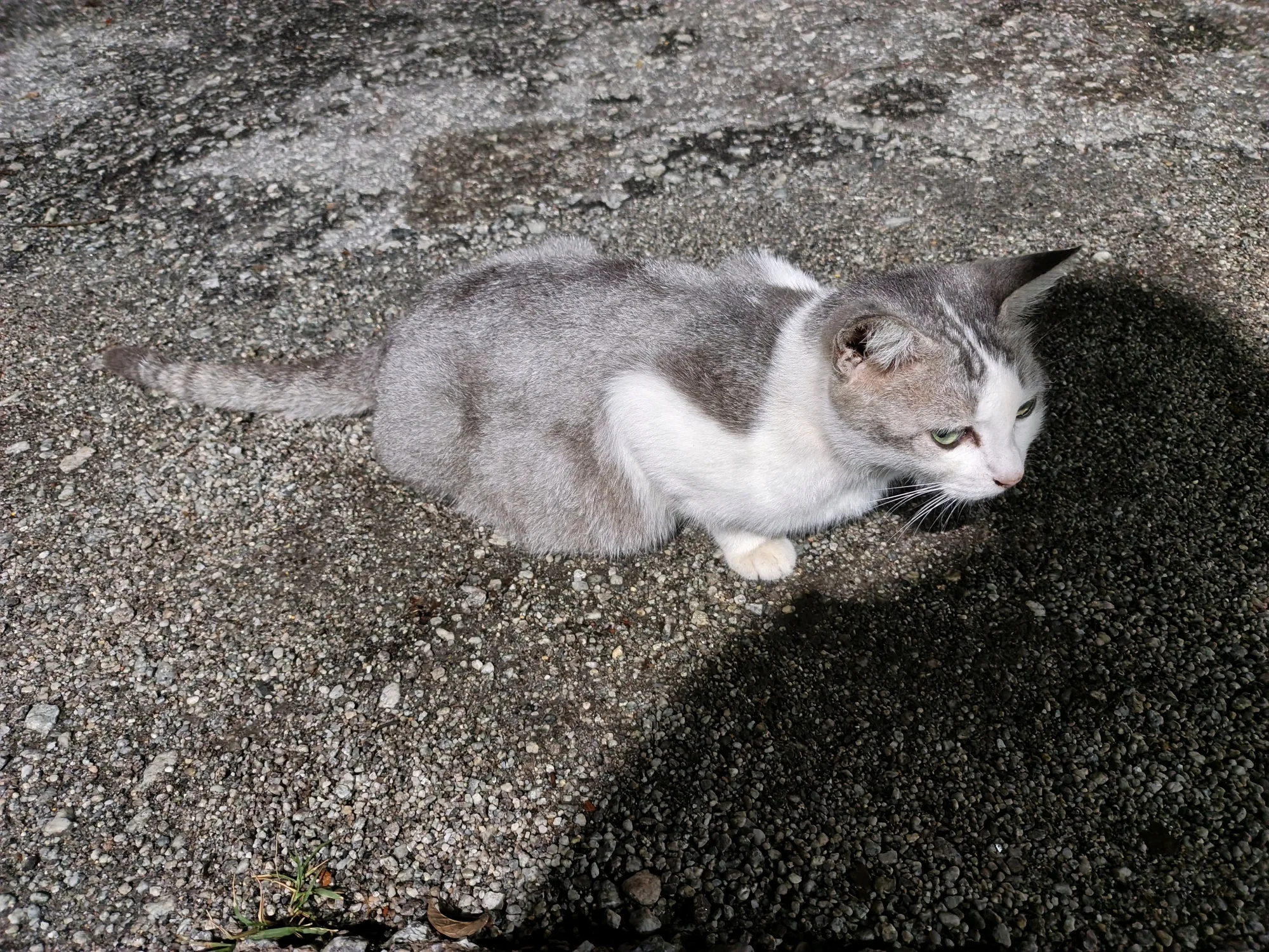 Infinix Note Edge image sample