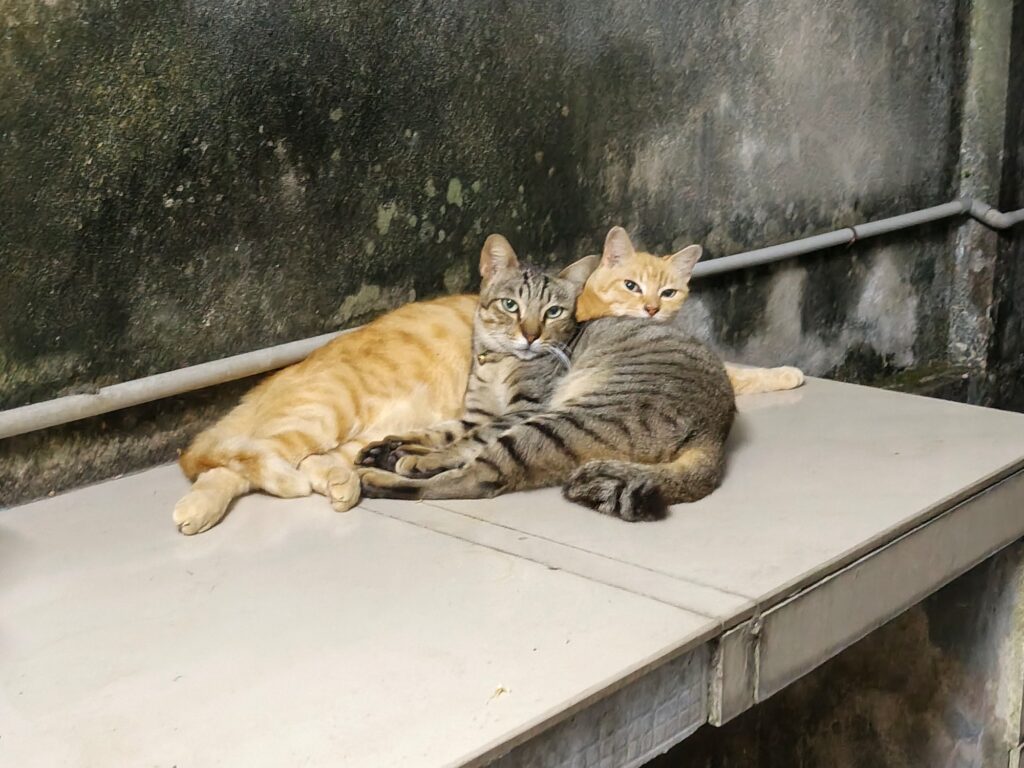 Infinix Note Edge image sample