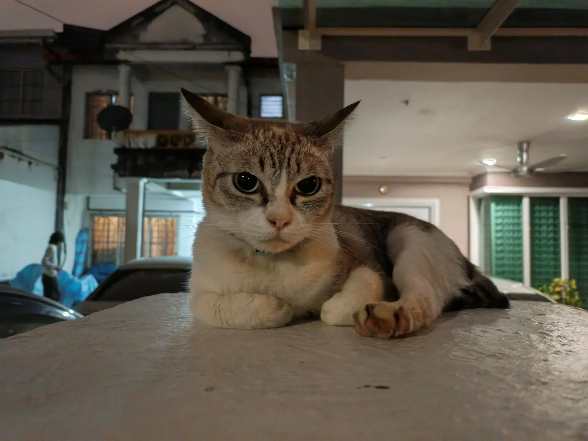Infinix Note Edge image sample
