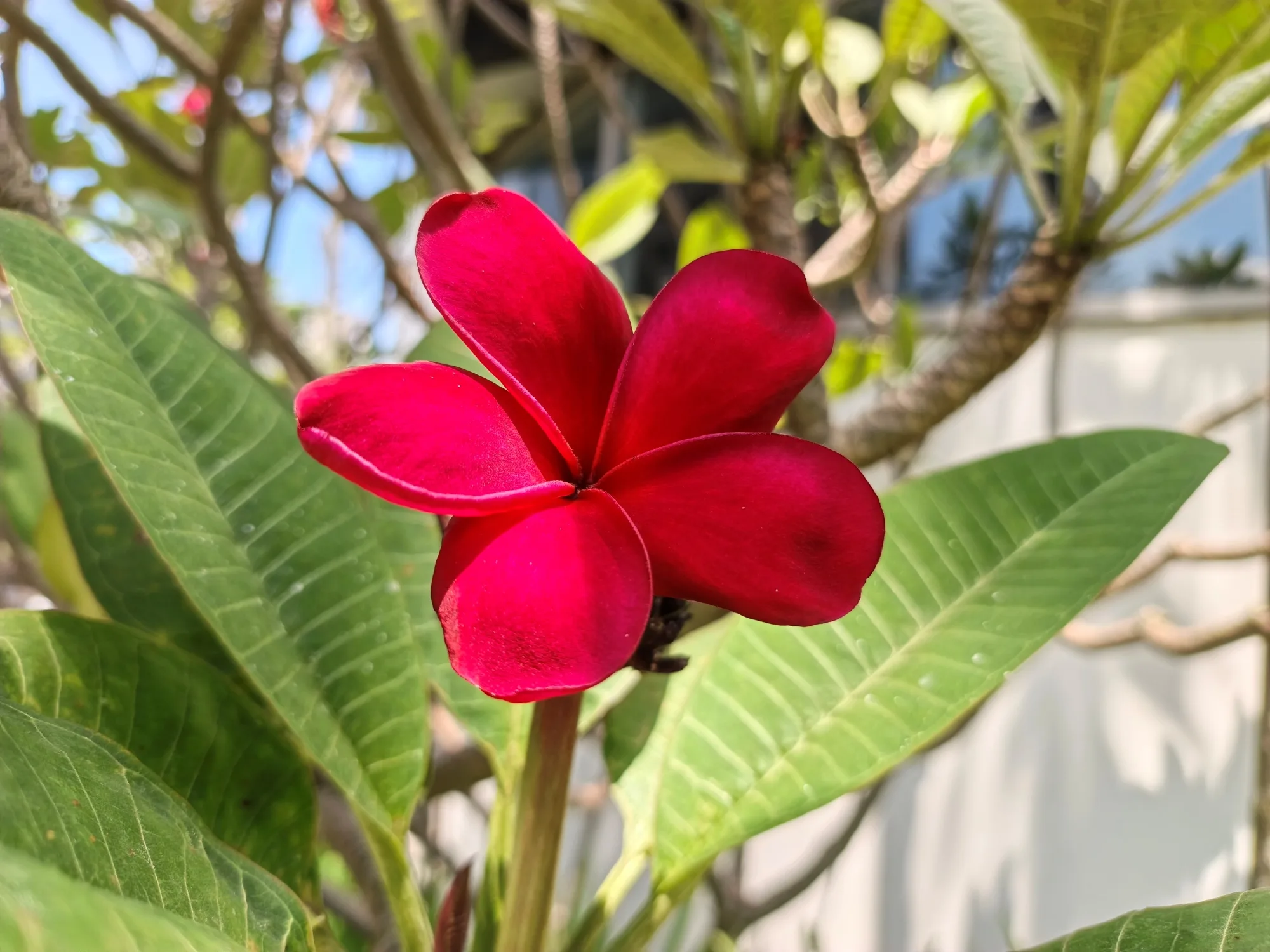 Infinix Note Edge image sample