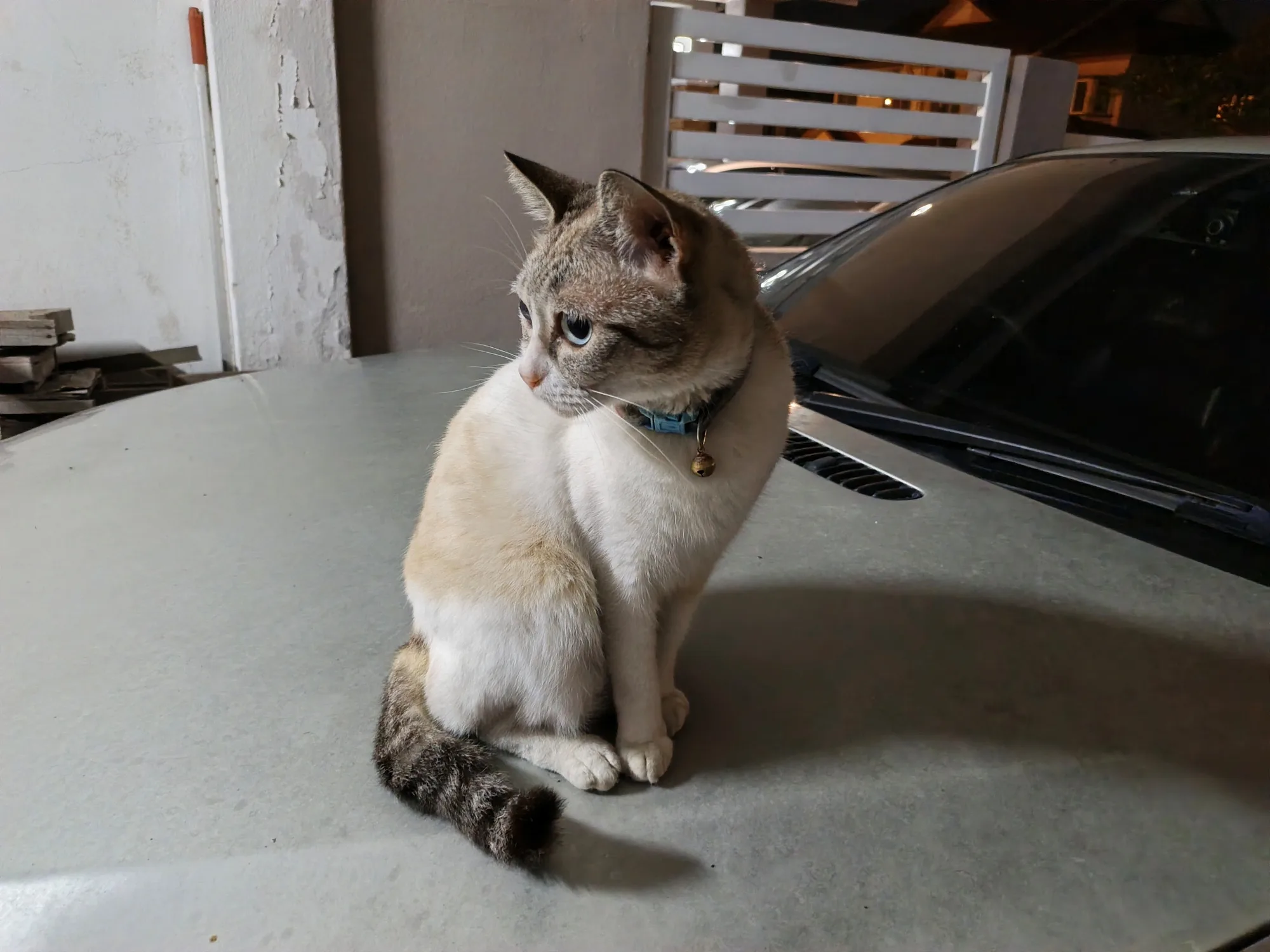 Infinix Note Edge image sample
