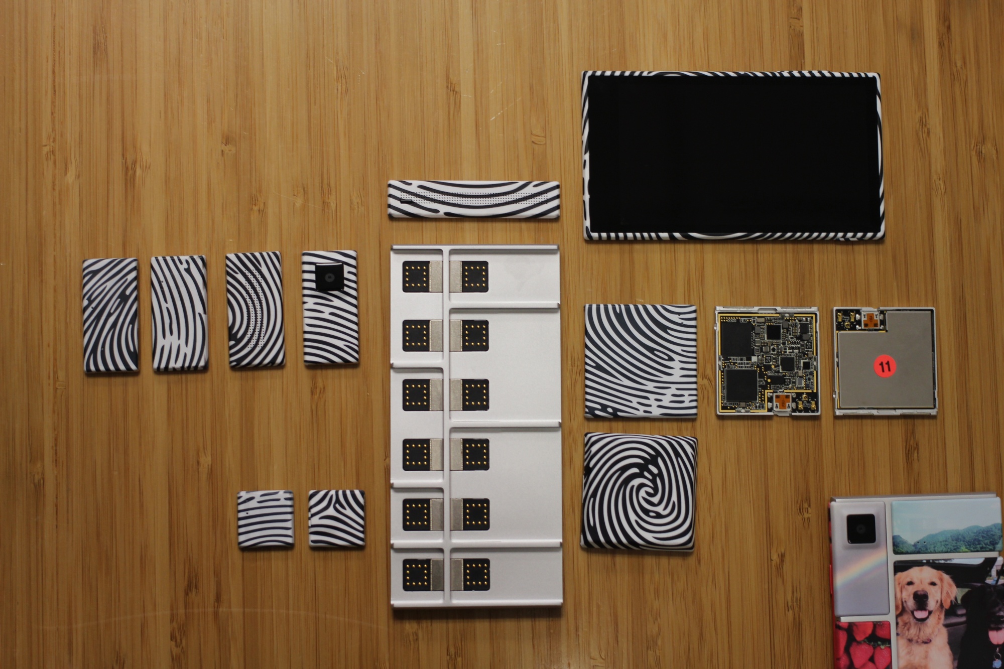 Google Project Ara