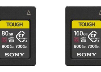 Sony Japan memory card sales