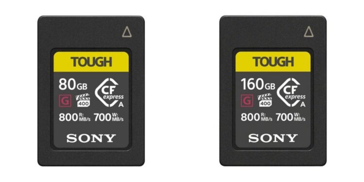 Sony Japan memory card sales